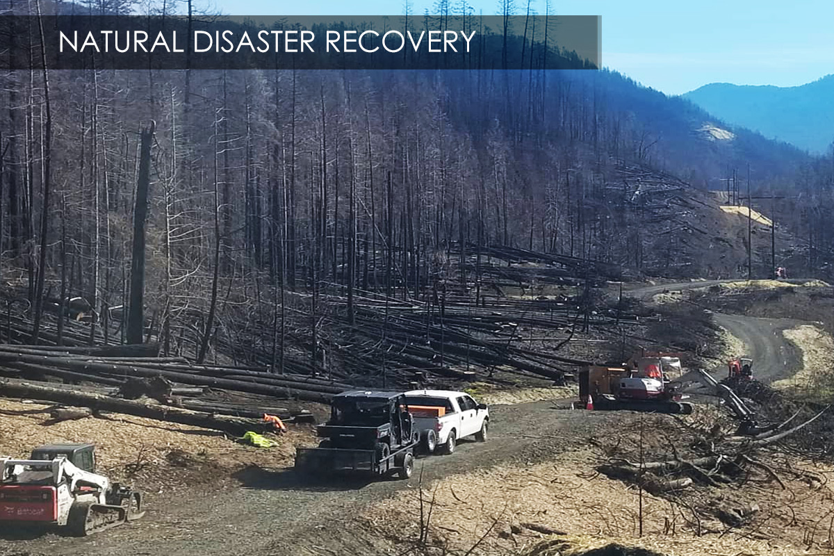 Slider-2025-Natural-Disaster-Recovery