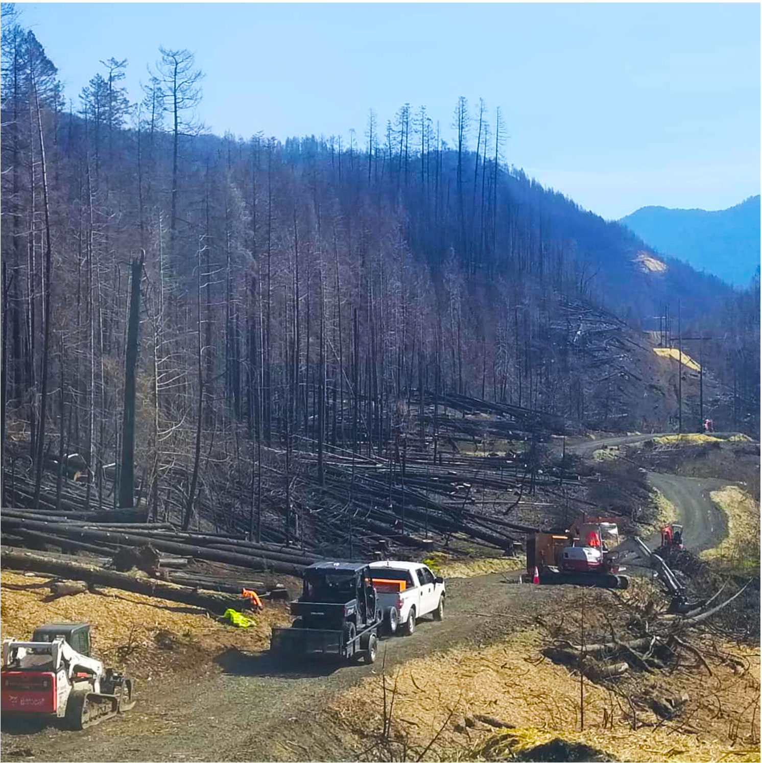 Oregon Wildfire